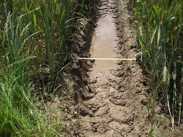 Soil compaction linked to the repeated passage of tractor tyres