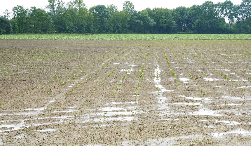 Excess surface water