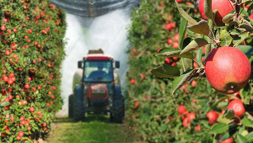 Irrigation of orchards
