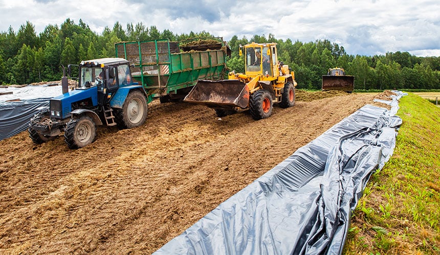Compaction of the silage trench on a dairy farm