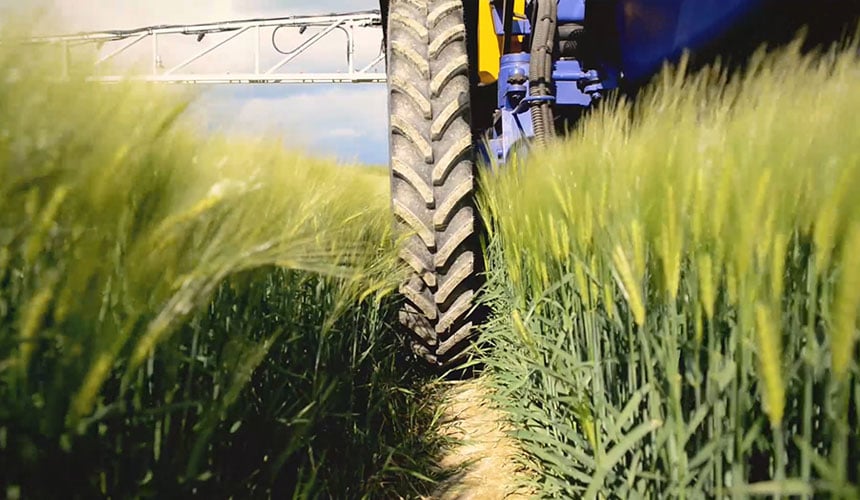 The principal benefit of the narrow tyre: it fits easily between rows