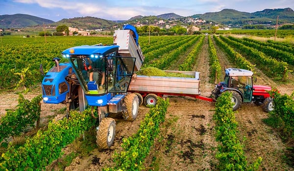 Vineyard tyres: why choose a tyre that is adapted to vine growing?