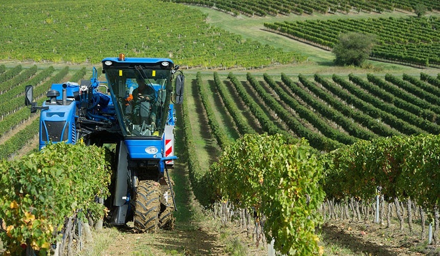 Harvesting situation on flat terrain (site A) and steep slope