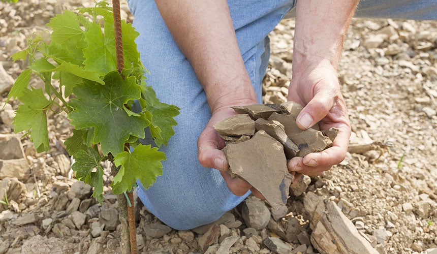 Schist based vineyard soil, aggressive for standard tractor tyres