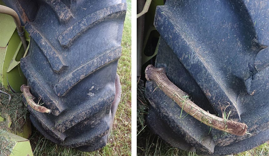 Puncture on the tread caused by a deer horn