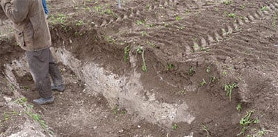 Ditch to observe the soil structure