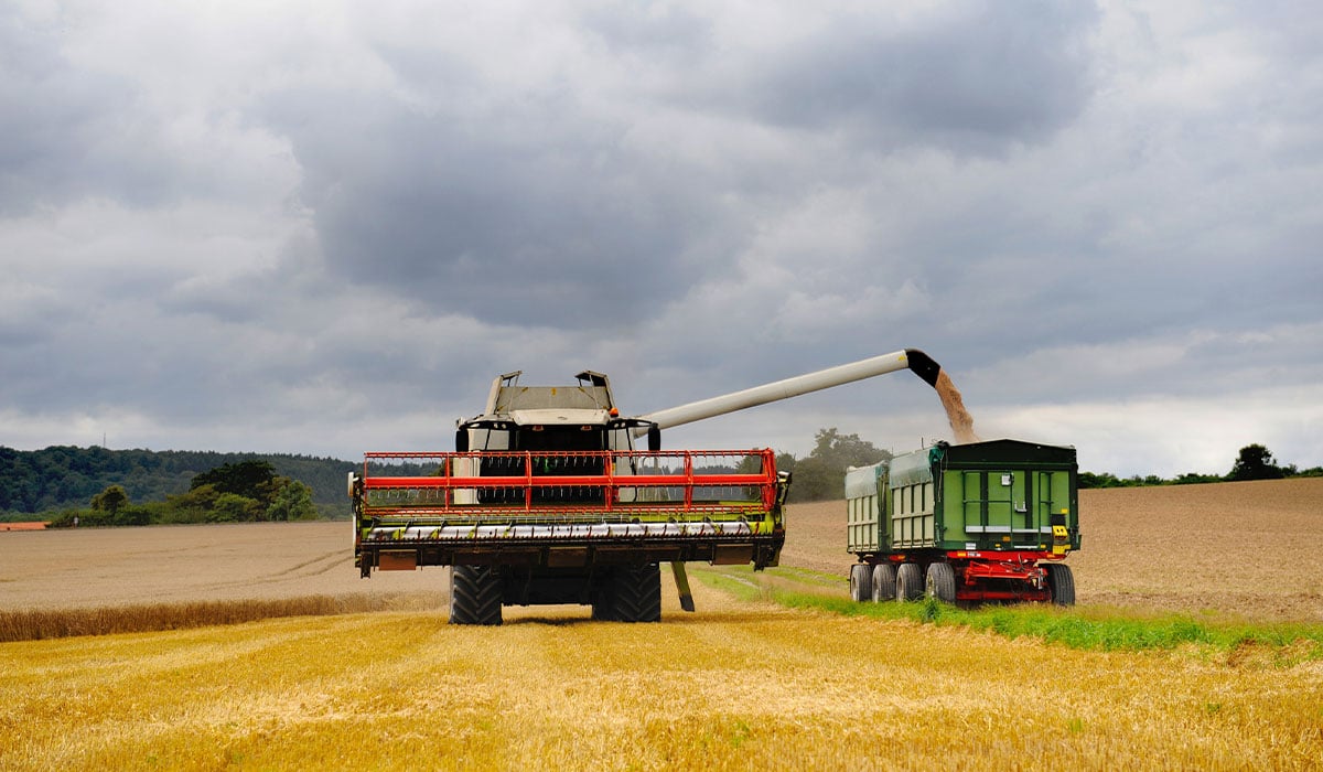 Unloading the harvester at the edge of the field