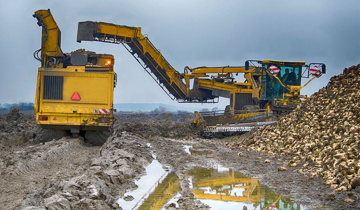 Harvesting beet in wet conditions